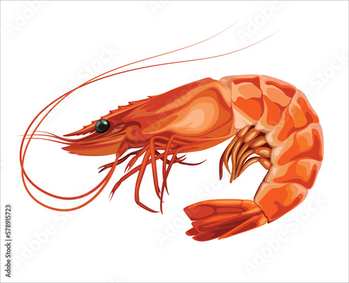 Shrimp Sea Food Crawfish Crayfish Caridean Prawn Vector Illustration