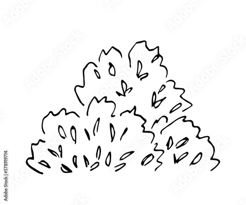 Simple black outline vector drawing. Lush bush, vegetation and trees. Nature, summer landscape. Ink sketch.