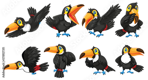 Toucan birds cartoon characters