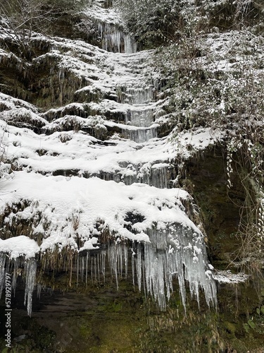 waterfall in the forest