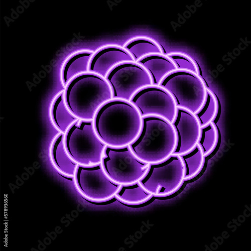 blackberry juicy berry neon glow icon illustration