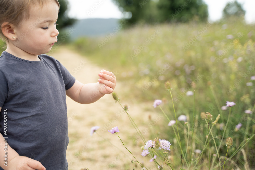 Curious little girl standing on a field with flowers Curious little girl standing on a field with flowers