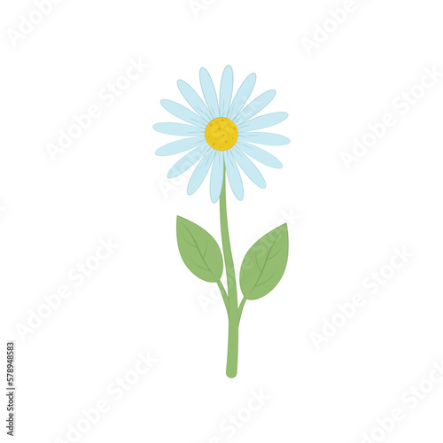 Flower. Cute wild flower in cartoon style. Chamomile flower. Vector illustration isolated on a white background