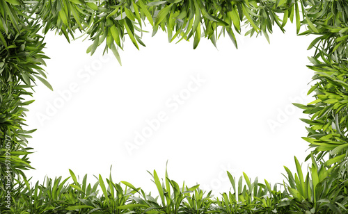 Green plant frame on transparent background  center space  3d render illustration.