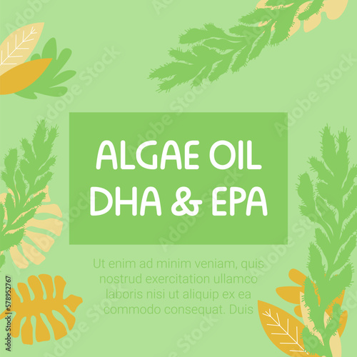 Algae oil DHA and EPA, promotional banner vector