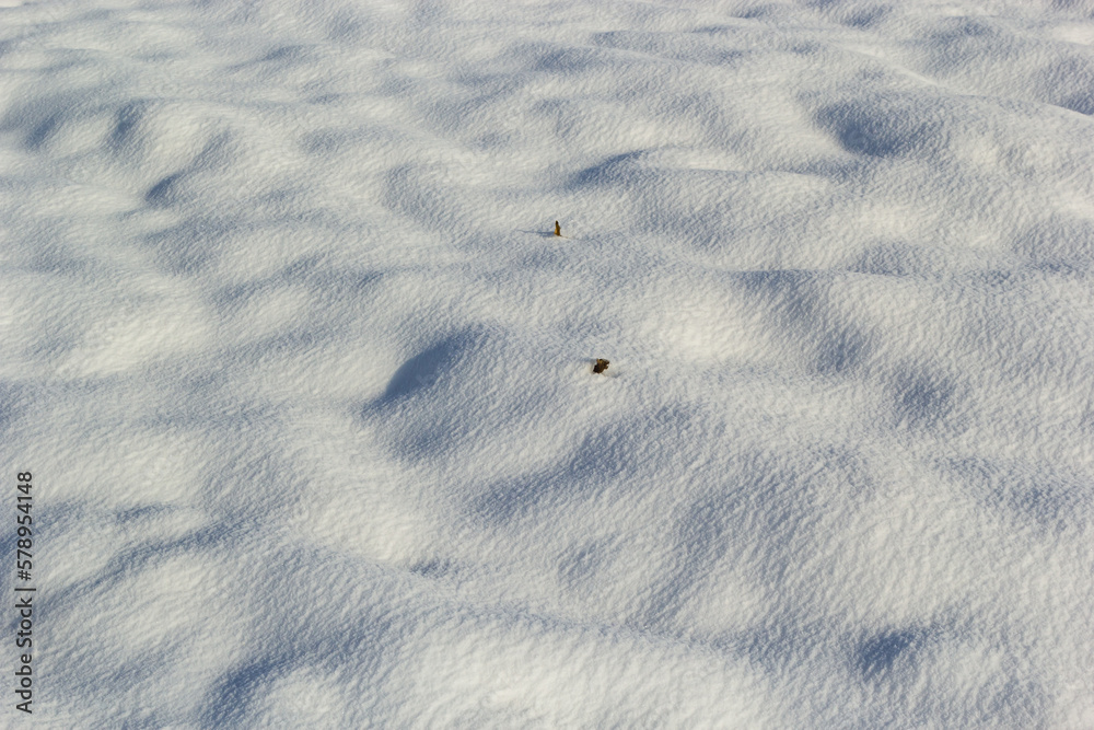 background of fresh snow texture in blue tone background of fresh snow texture in blue tone