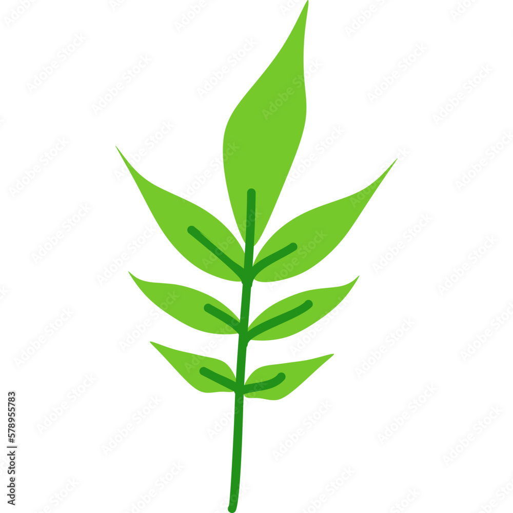 Fototapeta premium Green Leaf