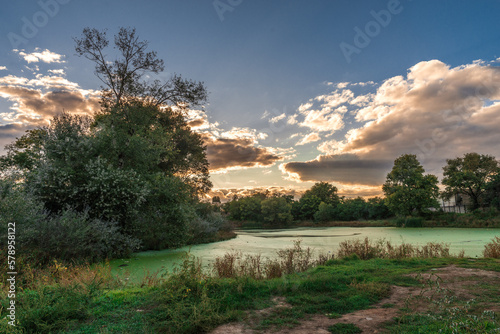 Panoramic view of the Old dirty green pond covered with duckweed and mud in a summer day photo