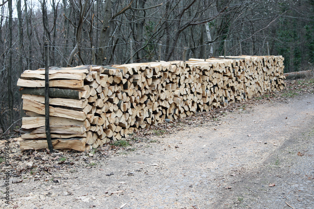 Holzstapel