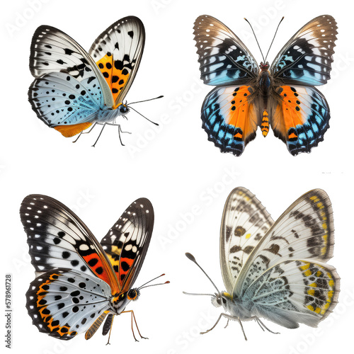set of butterflies, transparent background png