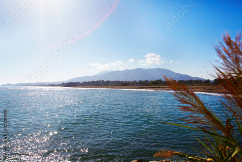 malaga