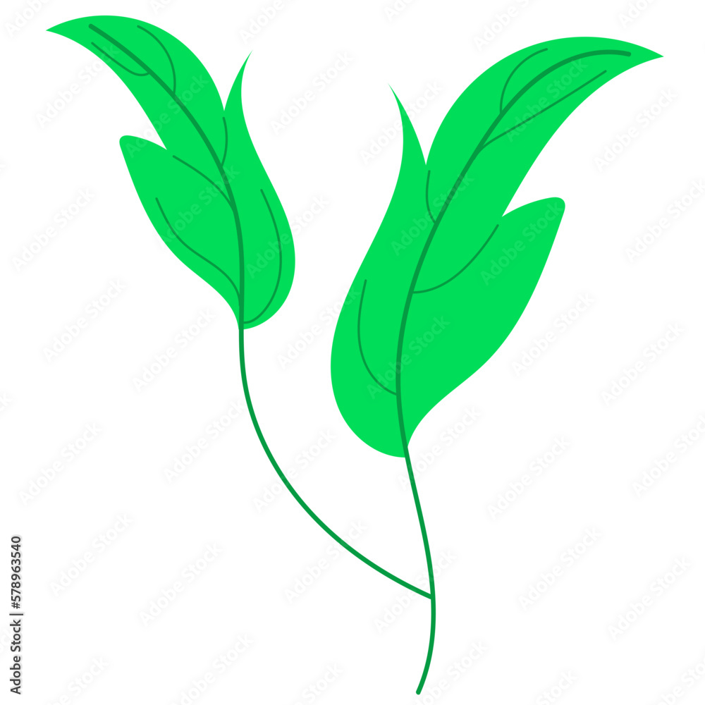 Green Leaf Green Leaf