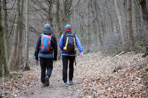 Zwei Wanderer im Wald