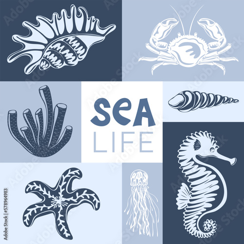 Sea life. Creative aesthetic graphic poster. Underwater animals: starfish, shells, corals. Ideal for postcard, advertisement, book, poster, banner. Vector illustration
