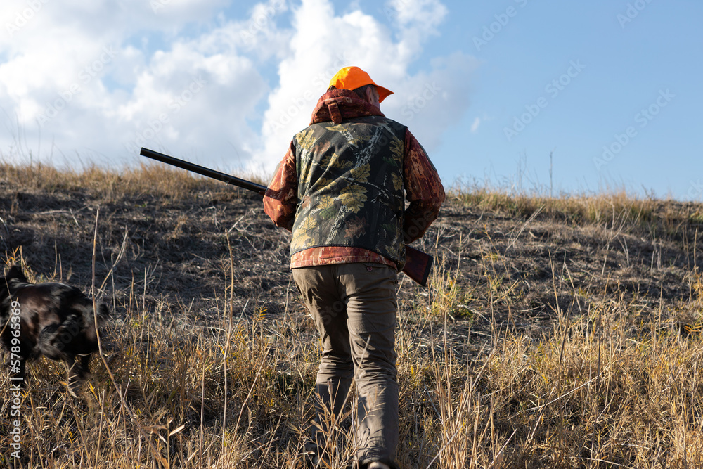 Mature man hunter with gun while walking on field. Mature man hunter with gun while walking on field.