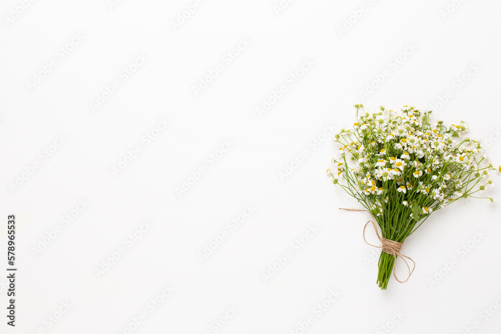 Chamomile flowers floral framee. Flat lay, top view. Chamomile flowers floral framee. Flat lay, top view.