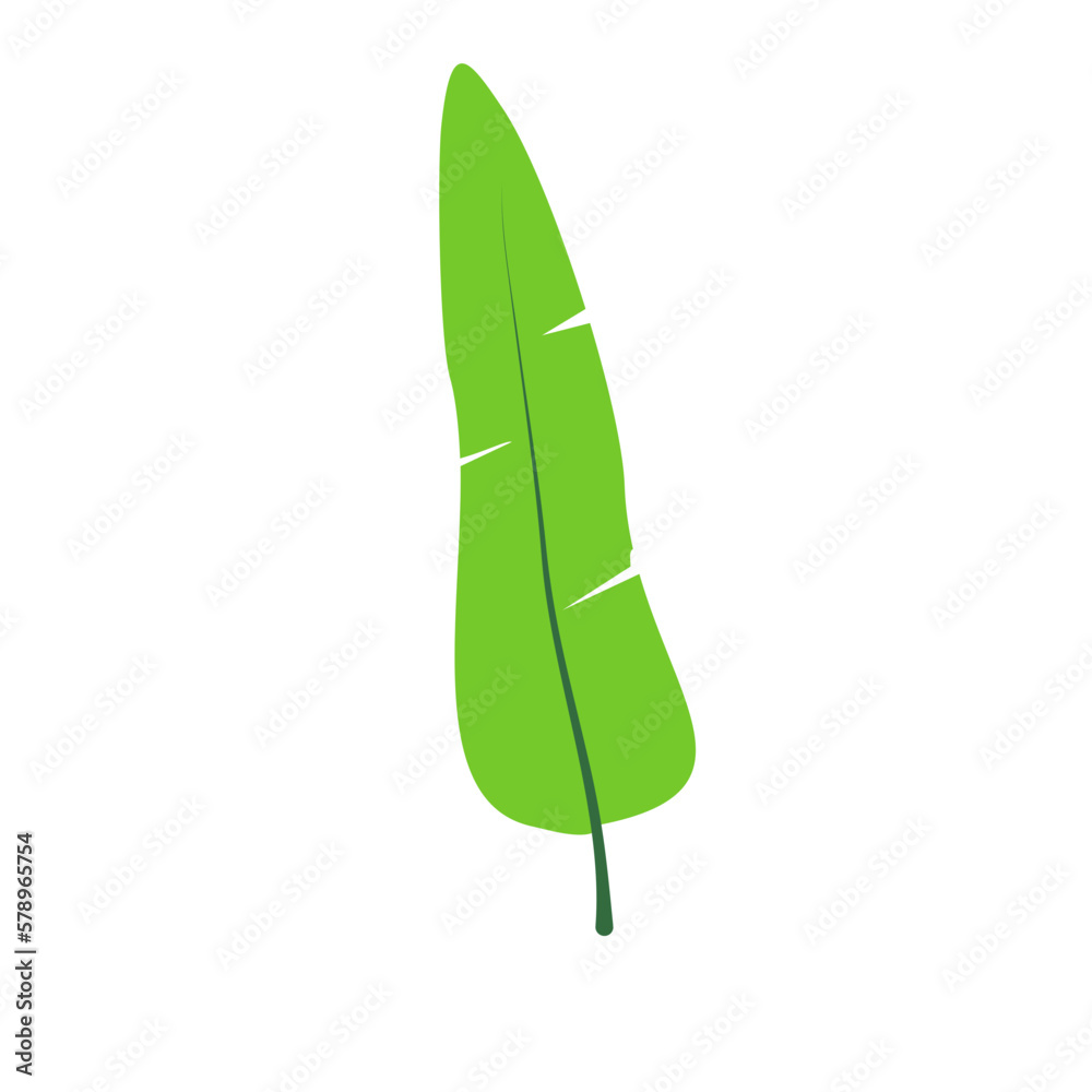 Green Leaf Illustration Green Leaf Illustration