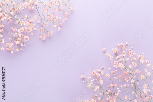 Beautiful flower background of pink gypsophila flowers. Flat lay, top view. Floral pattern.