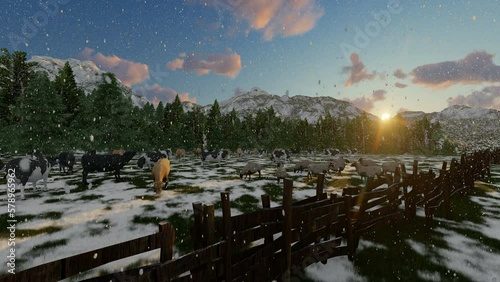 Animal farm in swiss mountain on a snowy day