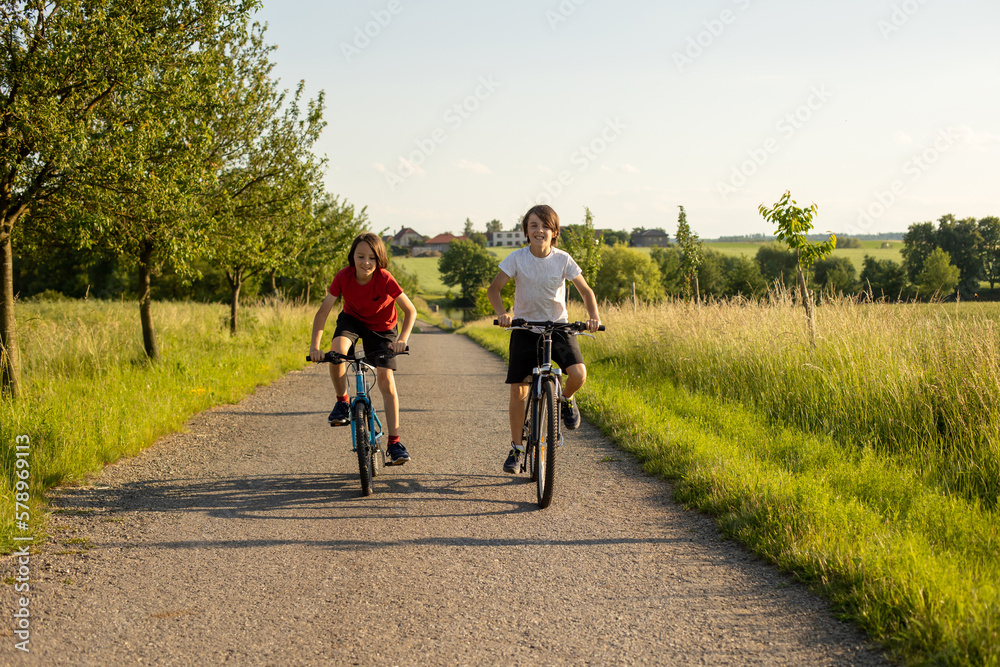 Cute happy children, brothers, riding bikes in the park on a sunny summer day