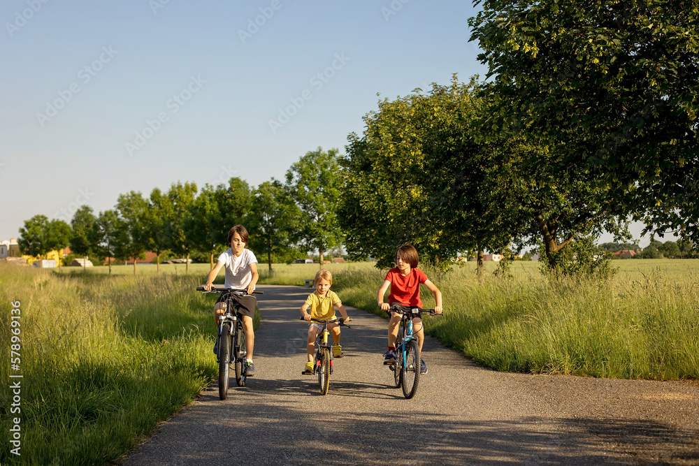 Obraz premium Cute happy children, brothers, riding bikes in the park on a sunny summer day