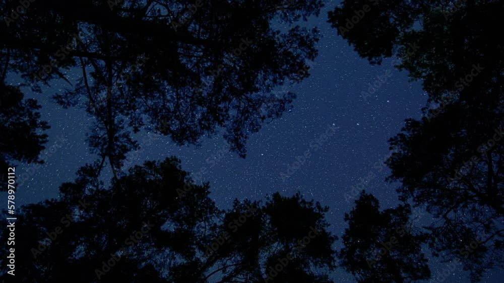 Nightsky Timelapse, rotating stars and beautiful trees in the foreground