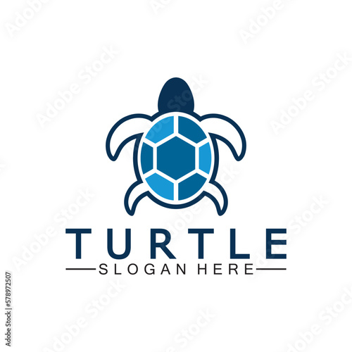 Turtle icon, Sea turtle vector illustration, Logo for buttons, websites, mobile apps and other design needs