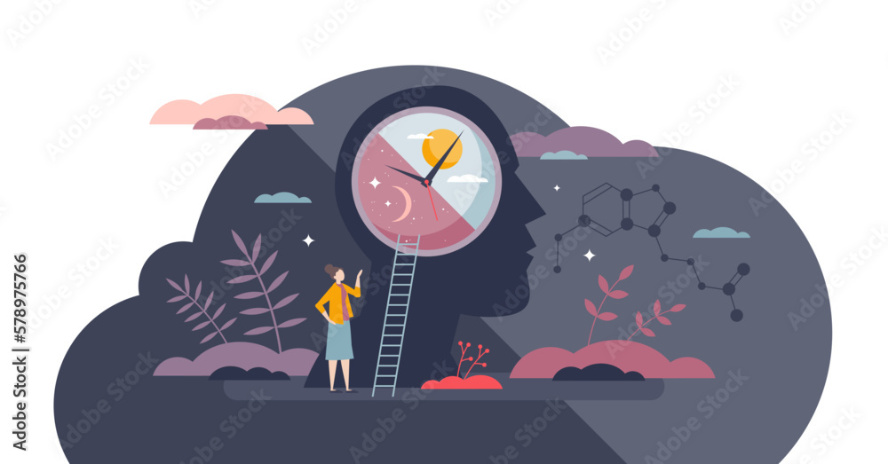 Circadian sleep rhythm with inner cycle for daily routine tiny person concept, transparent background. Day and night inner balance for healthy melatonin, serotonin and cortisol stages illustration. - obrazy, fototapety, plakaty 