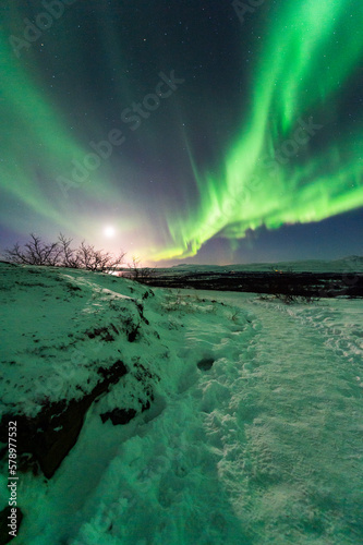 imagen de un paisaje natural nocturno nevado, con una aurora boreal en el cielo nocturno de Islandia  © carles