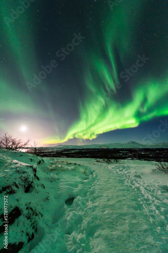 imagen de un paisaje nocturno nevado, con montañas de fondo, y una aurora boreal sobre el cielo de Islandia  © carles