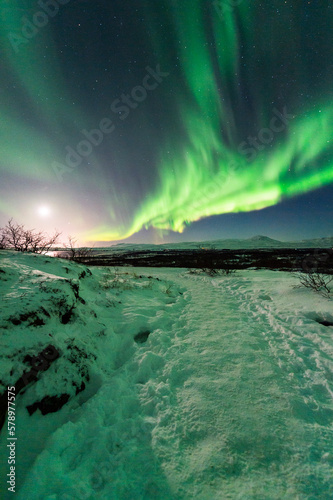 imagen de una aurora boreal sobre el cielo nocturno de Islandia con la luna iluminando el paisaje nevado  © carles
