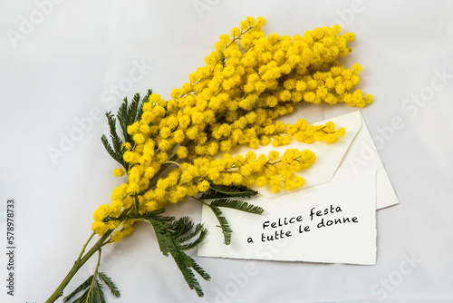 mimosa flower and envelope with card