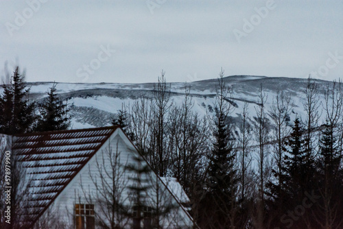 imagen del tejado de una casa entre los árboles secos y montañas nevadas de fondo 