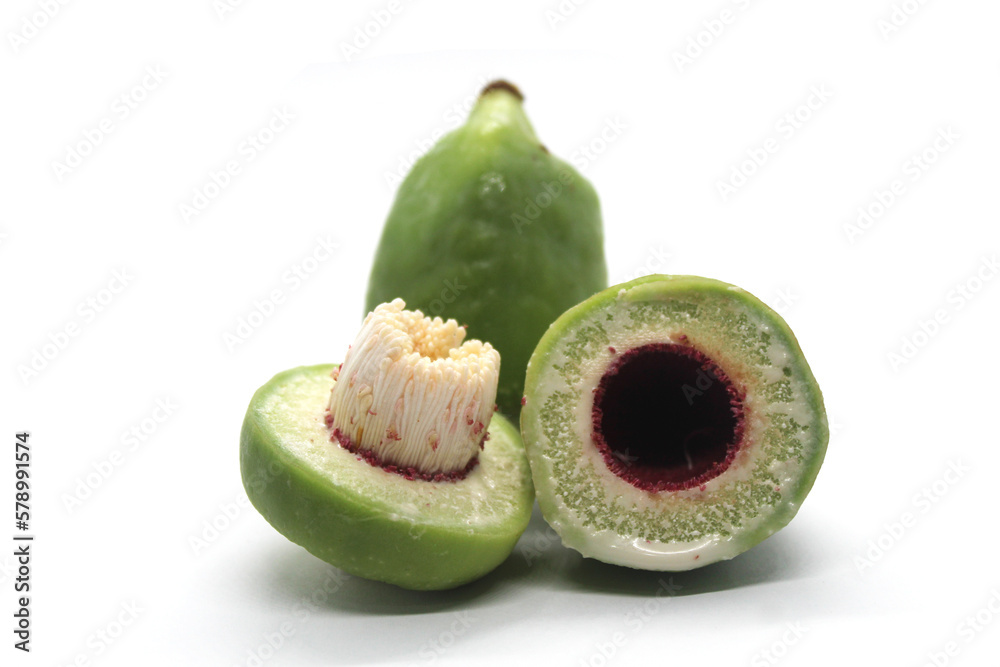 Kakadu plum fruit isolated on white background Stock Photo Adobe Stock