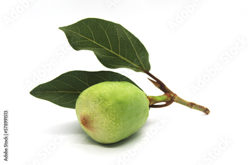 Kakadu plum fruit isolated on white background