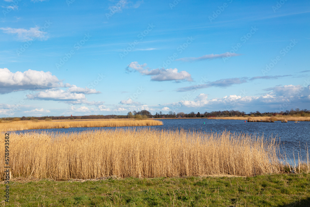 landscape in the northern part of the Netherlands with small lake on a sunny day early spring