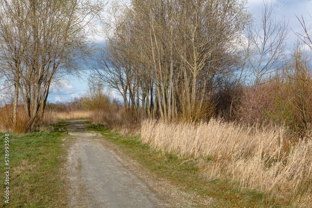 road in walking area in the northern part of the Netherlands early spring