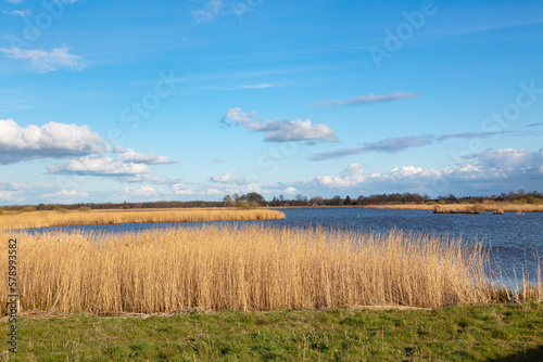 landscape in the northern part of the Netherlands with small lake on a sunny day early spring