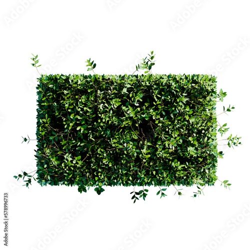 Plant, bush flower top view architectural landscape photo