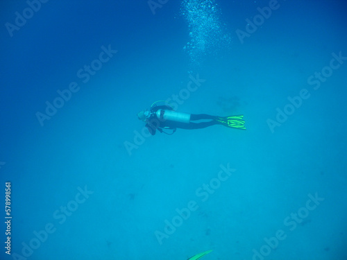 a diver in the crystal clear waters of the caribbean sea