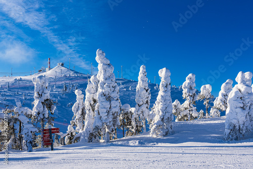 Landschaft mit Schnee im Winter in Ruka, Finnland