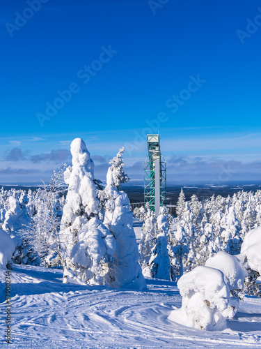 Landschaft mit Schnee im Winter in Ruka, Finnland photo