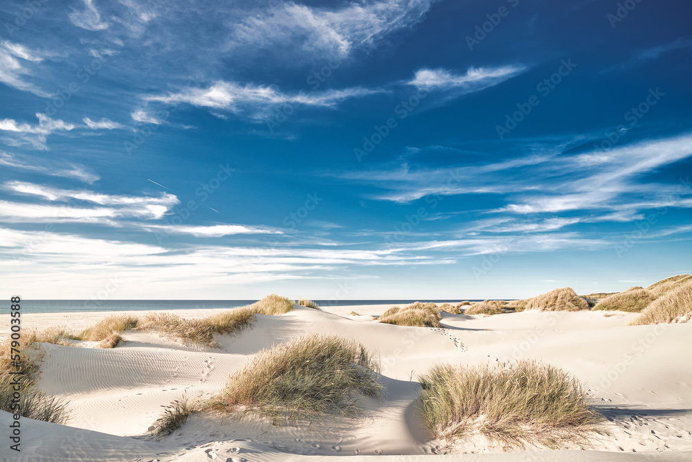 White sands of northern Denmark. High quality photo - obrazy, fototapety, plakaty 