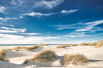 Leinwandbilder Dünen Weißer Sandstrand in Nordjütland Dänemark  © Florian Kunde