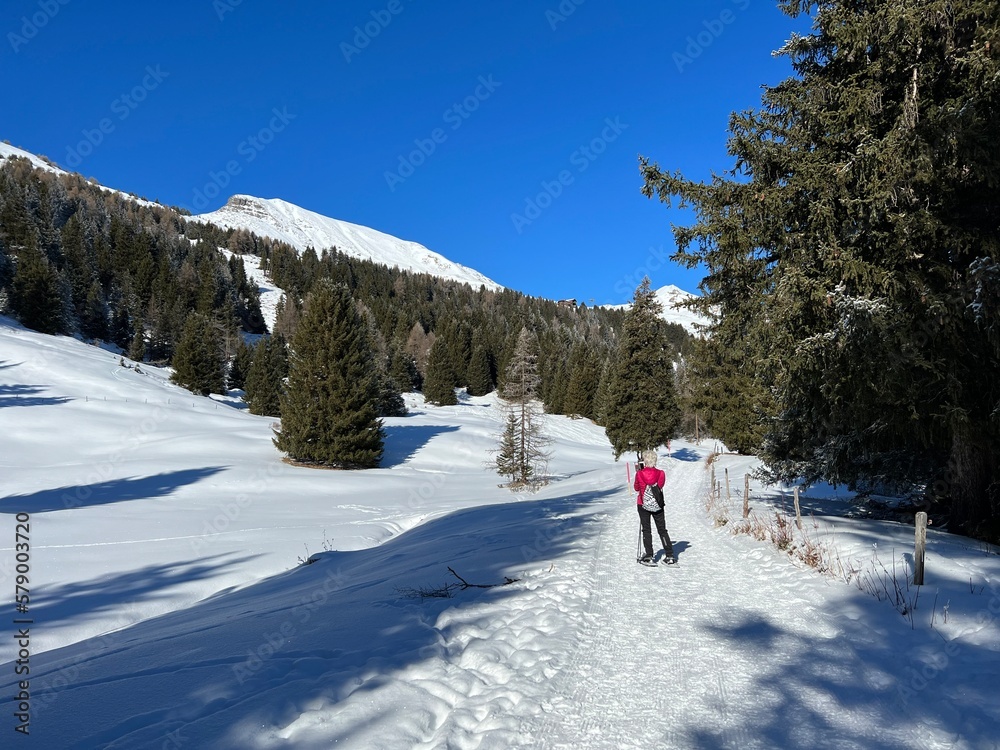 Excellently arranged and cleaned winter trails for walking, hiking, sports and recreation in the area of the tourist resorts of Valbella and Lenzerheide in the Swiss Alps -  Switzerland (Schweiz)