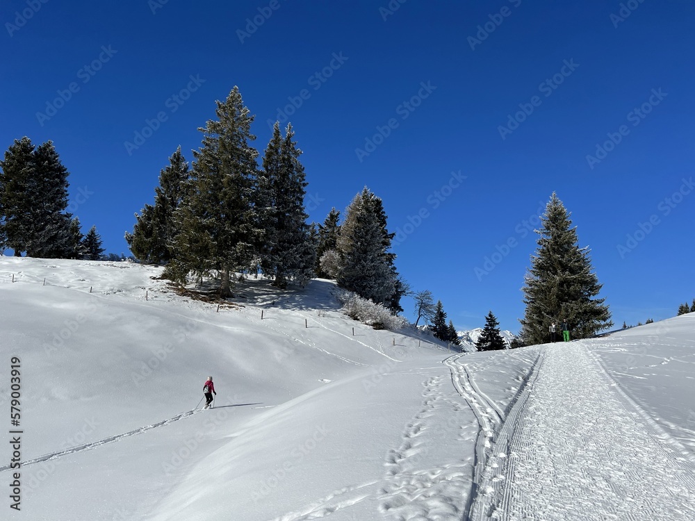 Excellently arranged and cleaned winter trails for walking, hiking, sports and recreation in the area of the tourist resorts of Valbella and Lenzerheide in the Swiss Alps -  Switzerland (Schweiz)