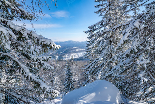 Winter beauty in the Ural taiga