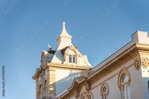 Stork on the tower of Belmarco Palace - Faro landmark, Algarve, Portugal
