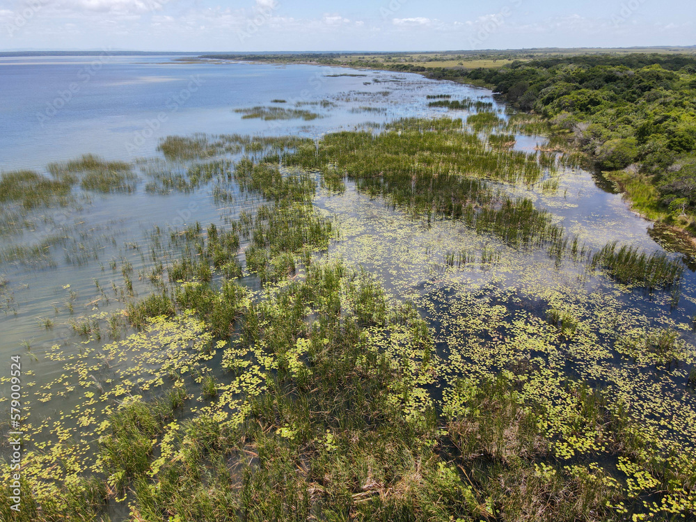 Landscape of Isimangaliso wetland park on South Africa