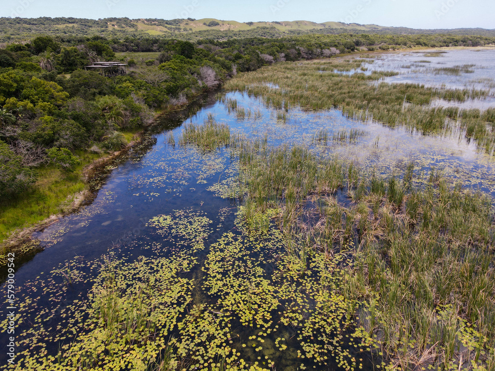Landscape of Isimangaliso wetland park on South Africa Landscape of Isimangaliso wetland park on South Africa